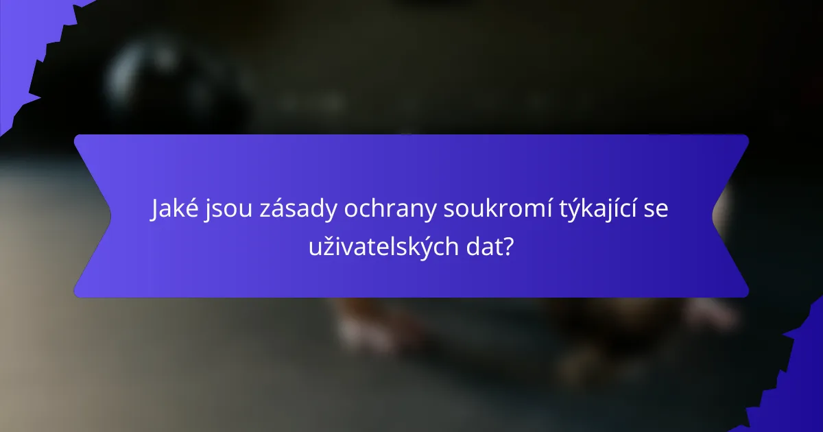 Jaké jsou zásady ochrany soukromí týkající se uživatelských dat?